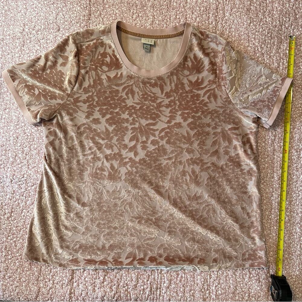 A New Day Velvet Floral Short Sleeve Tee Blouse